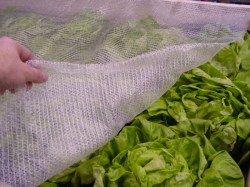 Klima Netz, 2 x 5 m Multifunktionales Klima Netz